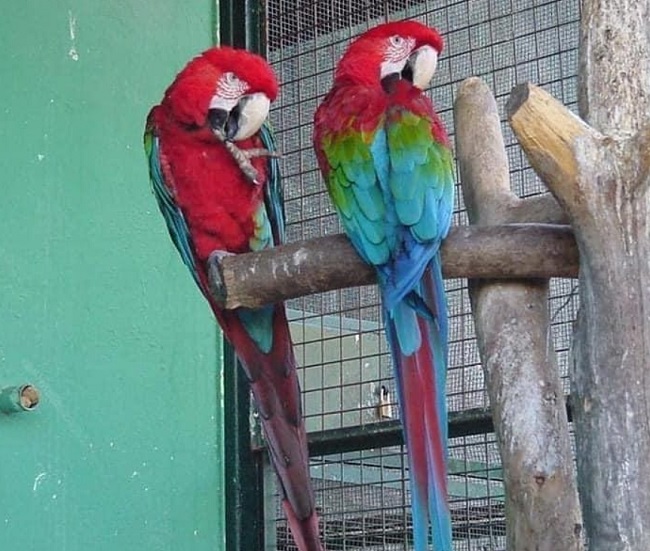 descripcion parque loro sexi granada