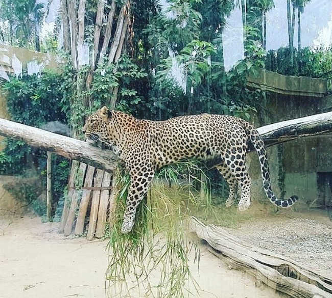 descripcion zoo jerez