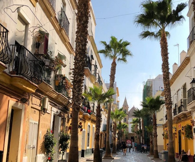 descripcion barrio viña cadiz