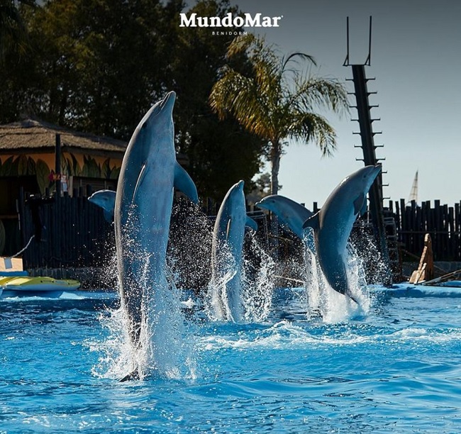 descripcion mundomar benidorm