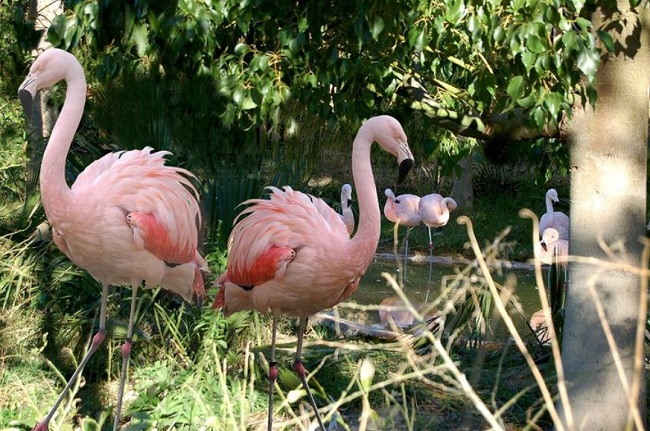 descripcion terra natura benidorm