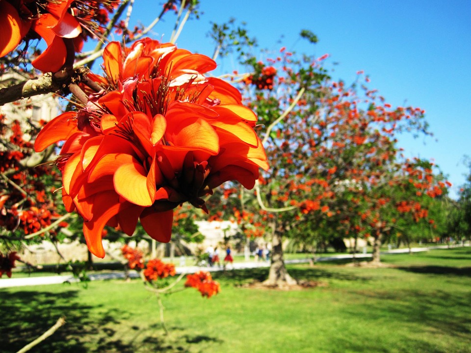 descripcion jardines del turia valencia