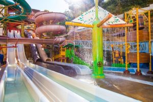 Conoce Magic Aqua Rock Gardens
